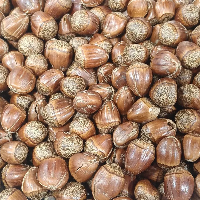 Kavrulmuş Tuzlu Badem
