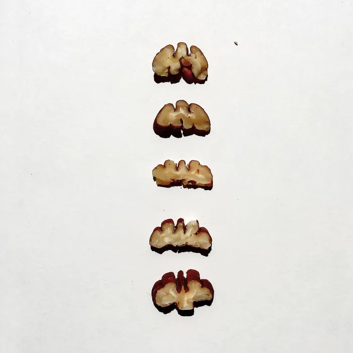 Ceviz İçi (Çeyrek)